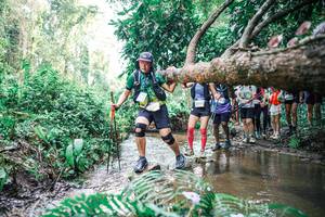 BIB: 
                            <button type="button" onclick="openModal(25475276)" class="btn btn-primary btn-sm float-right btn-popup" data-toggle="modal" data-target=".modal-high-quality">
                        <i class="fas fa-shopping-cart"></i> Add to Cart
                    </button>
                                            <button type="button" onclick="isThisMe(25475276, true)" class="btn btn-success btn-sm float-right btn-popup btn-isme hidden" data-toggle="tooltip" data-placement="bottom" title="นี่คือรูปของคุณใช่ไหม คลิกที่นี่เพื่อเอาเข้าอัลบั้ม">
                        <i class="fas fa-plus"></i> Add to album
                    </button>
                    <button type="button" onclick="isThisMe(25475276, false)" class="btn btn-warning btn-sm float-right btn-popup btn-isnotme hidden">
                        <i class="fas fa-ban"></i> Remove from album
                    </button>